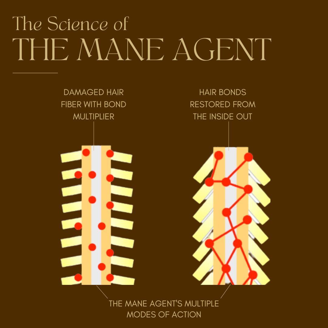 Hair Bonds 101 What They Are and How to Repair Them Maya Chia